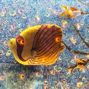 Pearl Qatar Attractions