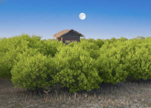 UNESCO Heritage Tour Qatar