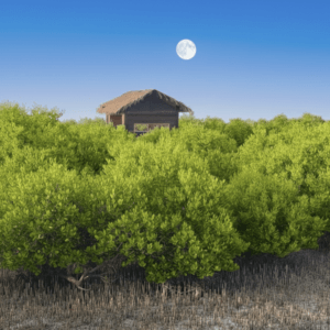 UNESCO Heritage Tour Qatar