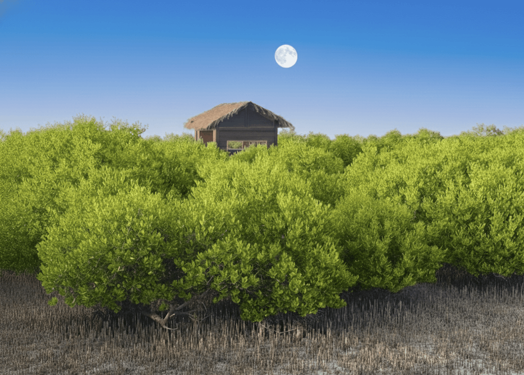 UNESCO Heritage Tour Qatar